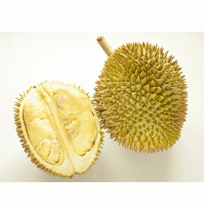 malaysia premium quality fresh white d24 durian with sweet taste