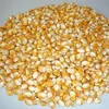 Grade 2 Yellow Corn For Animal Feed