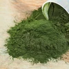 Bio fertilizer for potting soil,garden,plant