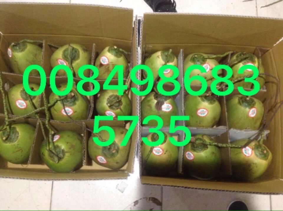 Fresh Coconut Buy Fresh Coconuts For Sale,Fresh Coconuts In Container