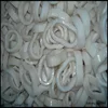 Frozen whole squid