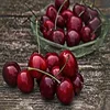 Cherry Fresh Sweet Cherry / Fresh Cherry Fruit /Red Cherry for Sale