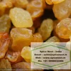 Raisin Exporter