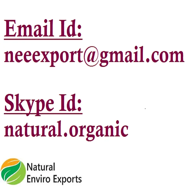 Email 2
