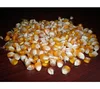 /product-detail/new-crop-round-small-yellow-maize-50032866615.html
