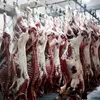 Buffalo Meat And Offals