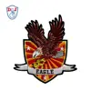 Customized Embroidery Eagle Badge Sew On Velvet Patch