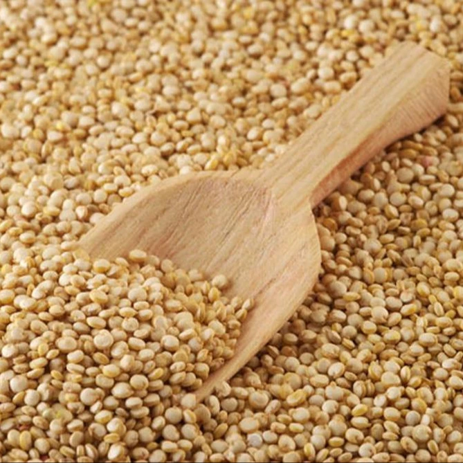 Quinoa Grain/ Quinoa Quinoa Buy Wheat Grain,Beer