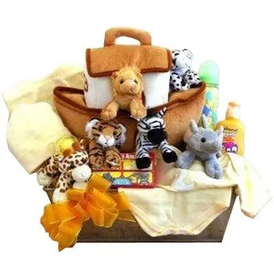 newborn baby gift basket
