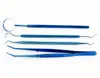 Oral Instruments Dental Tools DentistTeeth Hygiene Explorer Probe HookTeeth Care Kits Bending of Plate/Adult Blue Hexagonal BLUE