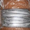 FROZEN RIBBON FISH