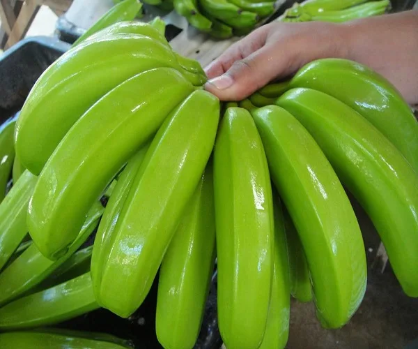 Зеленые бананы купить