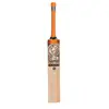 High Quality CA 10000 Plus English Willow Cricket Bats Fully Knocked Ready to Play
