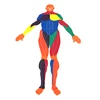 GD - Learn science, High Quality Plastic TPE Body Puzzle for children preschool educational Toys