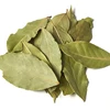 Best Quality Bay Leaf from India