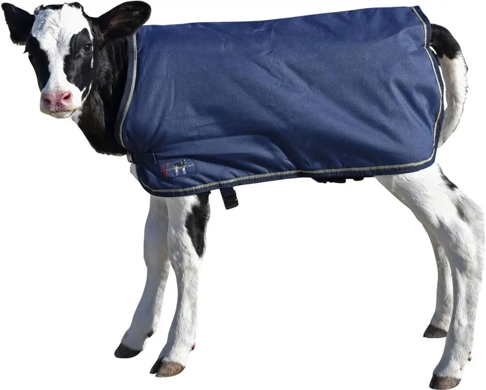 New Born Calf Warm Cover Blanket Jacket Made Of Water Resistant Fabric