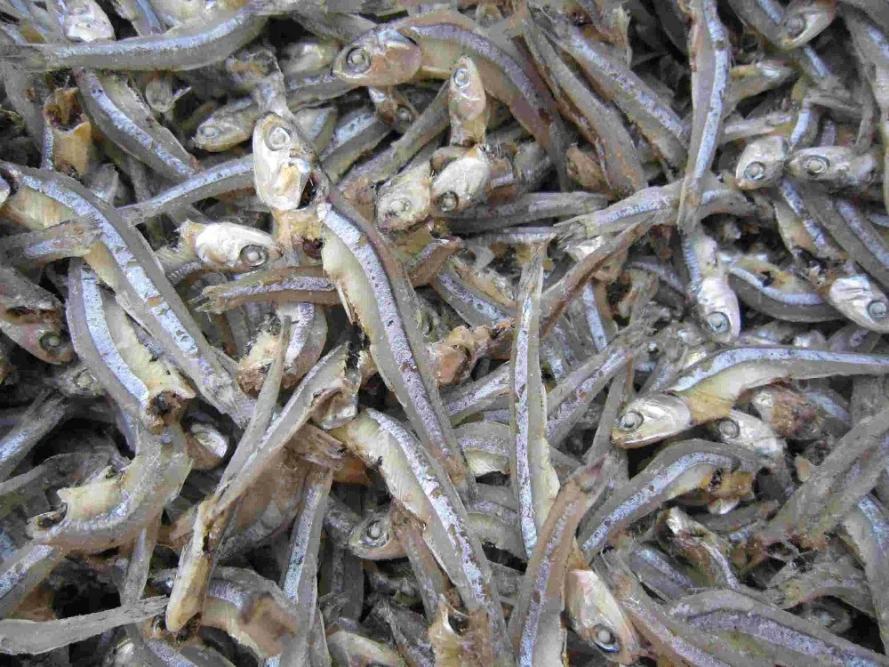 Anchovy Dry Fish Delicious Ms.holiday Buy Anchovy Dry Fish,Dried