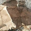 Wet Salted Donkey Hides - No Ticks, No Scratches, No Humps