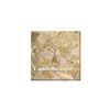 Gemstone Petrified Wood Wall Tile
