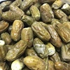 DRIED CRUNCHY PALM DATES : THAIAOCHI FRUITS