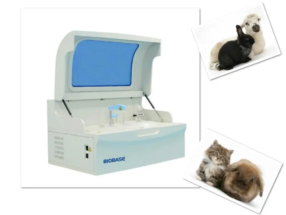 Clinical Chemistry Analytical Instruments Hematology And Biochemistry Analyzer For Veterinary And Animal Buy Hematology Analyzer Biochemistry Analyzer Animal Use Chemistry Analyzer Product On Alibaba Com