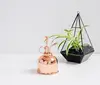 Plant Mister copper mist sprayer