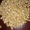 INDIAN WHITE MAIZE