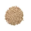 ISO Certified Standard Quality Seeds at Affordable Price