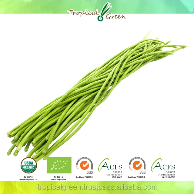 fresh organic long bean / export quality / from thailand