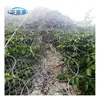 Protection System rockfall netting SNS Flexible Slope security screen wire mesh flexible metal mesh netting