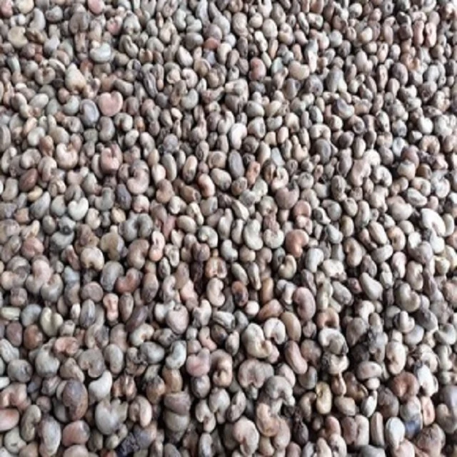 Ghana Cashew Nuts / Wholesale Cashew Nuts Exporters / Food Stuff Cashew