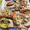 Crab shells, crabs(Cell phone: +84-845-639-639 (Whatsapp))