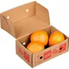 Quality Fresh Navel Orange South Africa