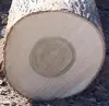 Quality Ash Logs