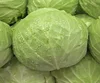 Wholesale fresh cabbage prices