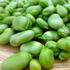 ORGANIC BROAD BEANS WITH QUALITY CERTIFICATE