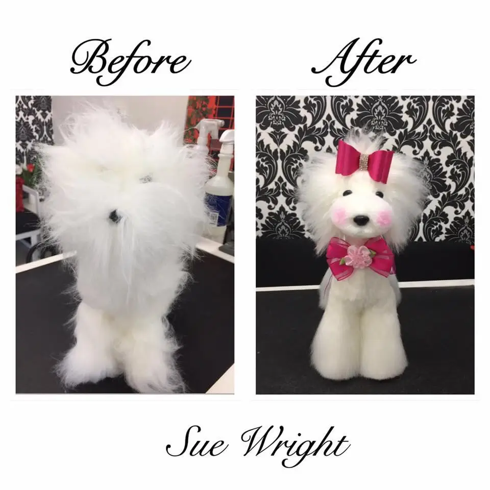 Grooming Modle Dog For Trimming Dog Mannequin Model Dog Model Buy
