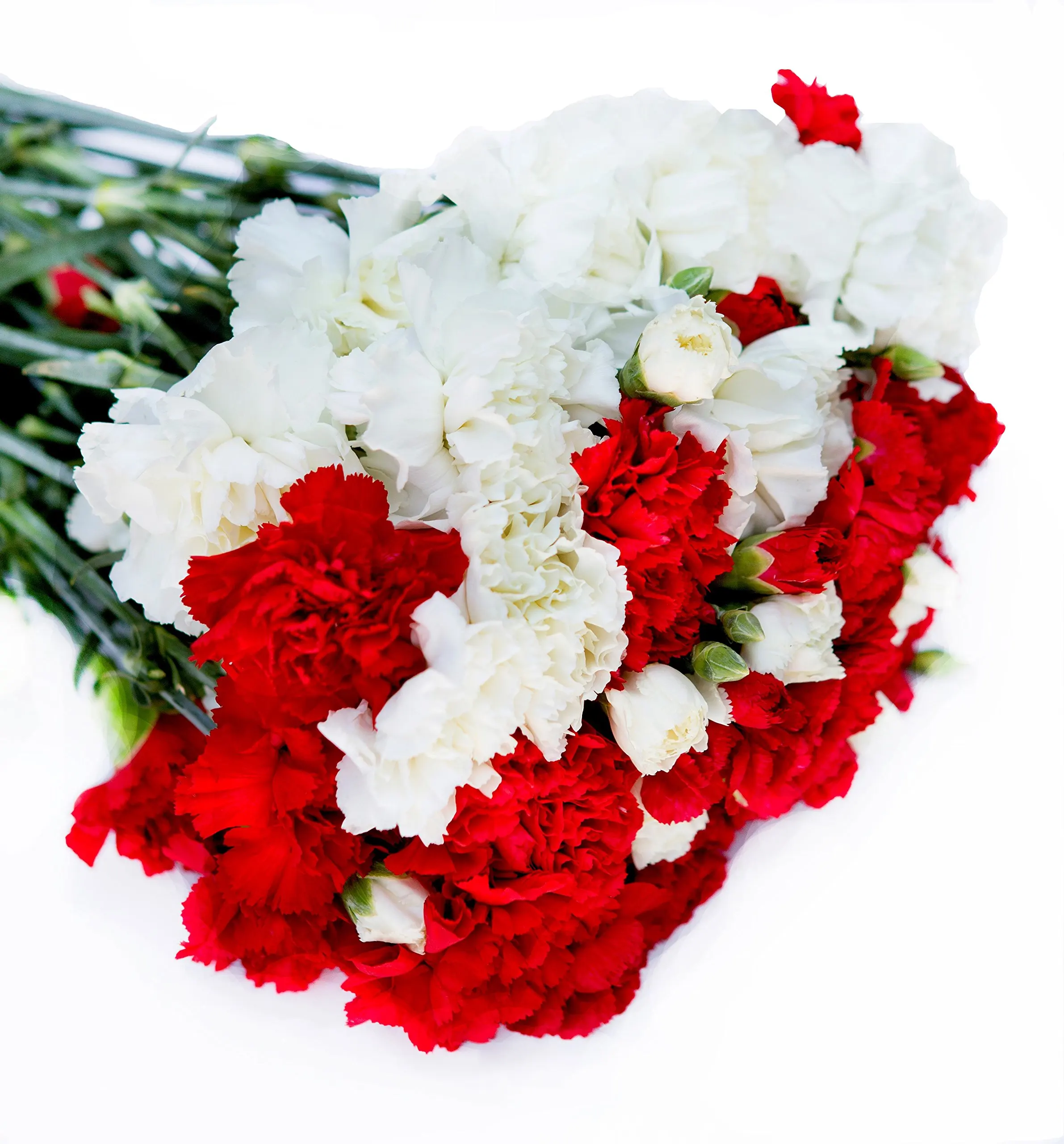 Cheap Silk White Carnations, find Silk White Carnations deals on line