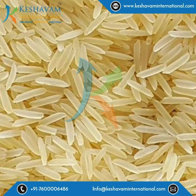 sella 1121 Rice.jpg