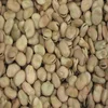/product-detail/high-quality-broad-beans-faba-beans-fava-beans-for-canning-food-for-sale-at-a-low-rate-62006729829.html