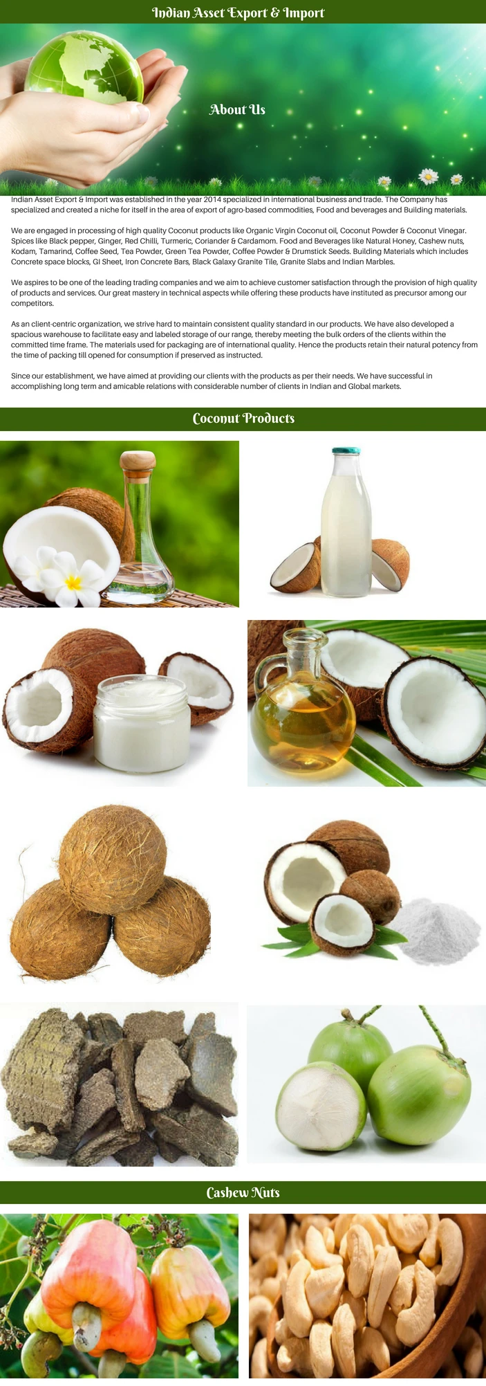 Inidan Asset (1).jpg