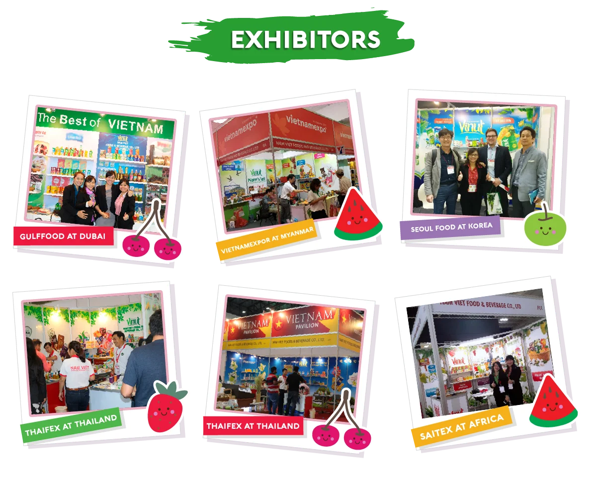 NAM VIET FOODS AND BEVERAGE JSC fruit juice, aloe vera