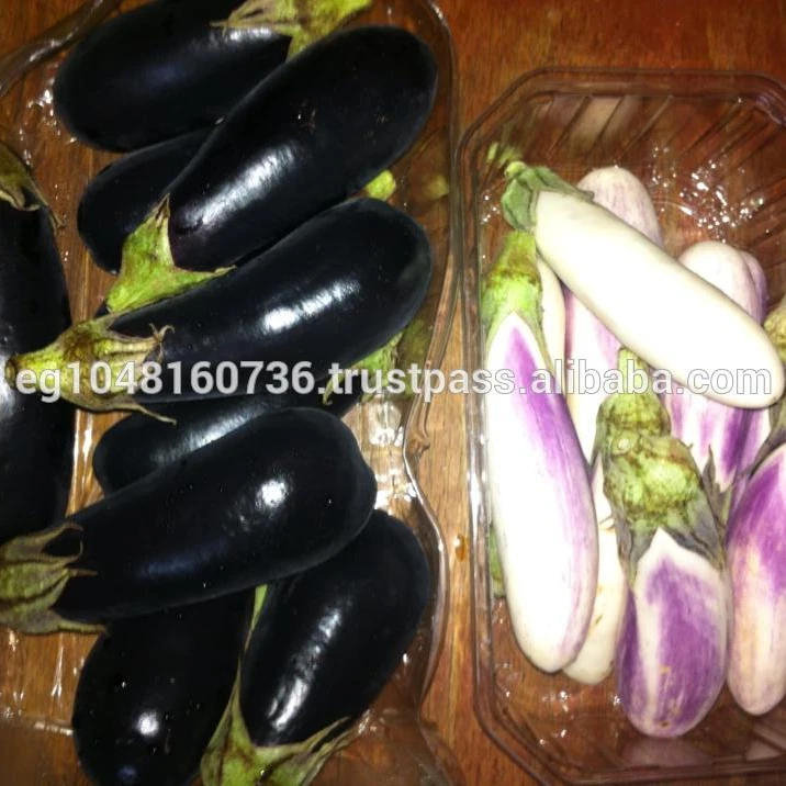 
Fresh Style Eggplant (Arros Black and white) 