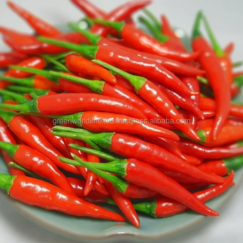 red chili pepper premium quality with amazing price for now