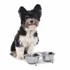 Ski Group Of Stainless Steel Pet Double Dine Pet Food Bowls With Supper Stylish Design