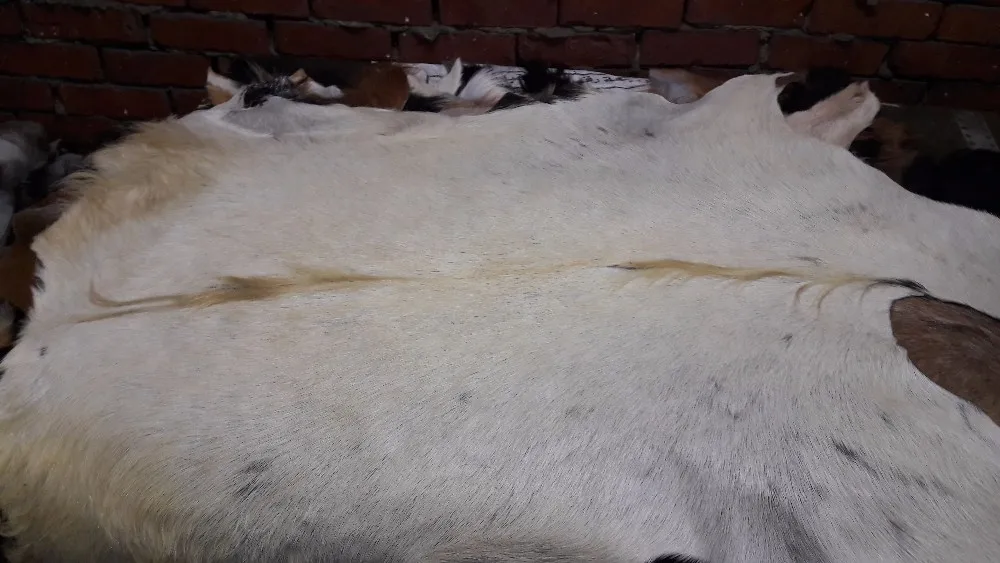 tanning goat hides