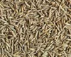 High quality spice seed cumin with low price