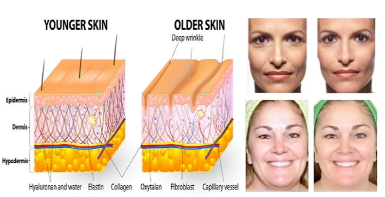 2021 Most Popular Facial Cream Anti Aging Skin Face Wrinkle Creme
