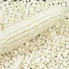 Corn (White and Yellow corn)