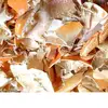 Dried Shrimp Shell Meal/ Shell Crab Powder/ animal feed